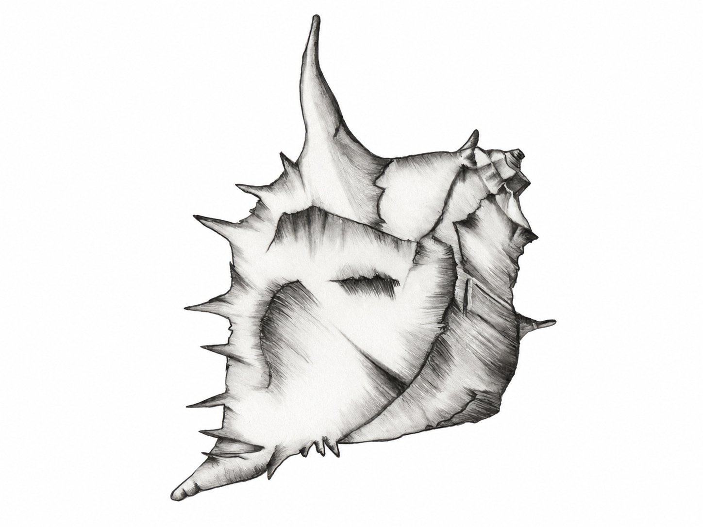 Pencil Art